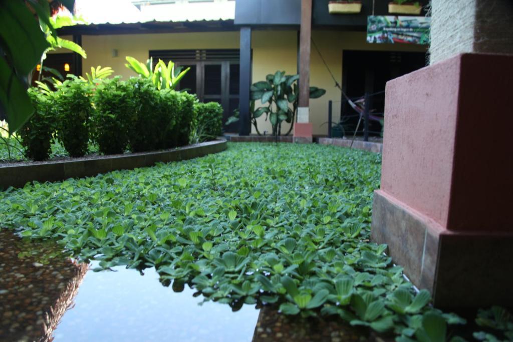 Hotel Amazon Bed And Breakfast Leticia Buitenkant foto