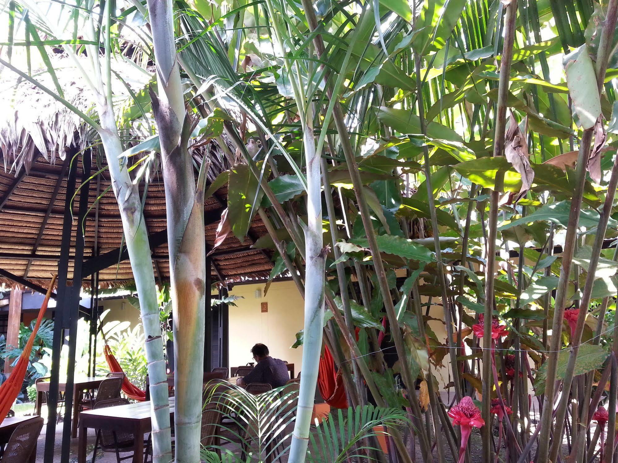 Hotel Amazon Bed And Breakfast Leticia Buitenkant foto